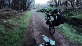kangas edit