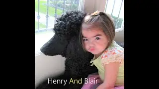 A dog's devotion like you've never seen: Henry and Blair