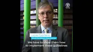 Livestock Sustainability: What FAO LEAP Partners Say
