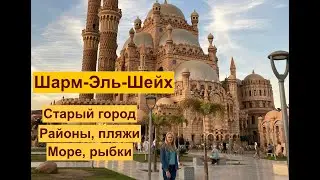 Шарм-Эль-Шейх. Море, рыбки. Старый город. Погода в декабре. Красный флаг на пляже. Район Хадаба.