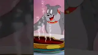 Tom&jerry😂#tomjerry #tomjerryclassic #tomjerrylove #tomjerrymemes #tomjerrykids #tomjerrybobby #love