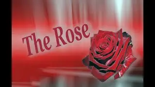 The Rose - Donna Fargo (tradu&ccedil;&atilde;o)