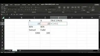 How to use TRUE or False function on Excel