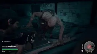 DAYS GONE spurce tunnel secret horse enter!