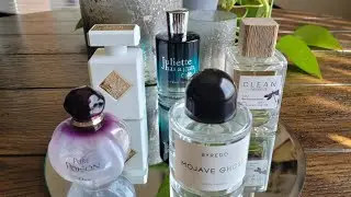 Top 5 Musk Fragrances in my Collection | Summer Edition 🥵🔥