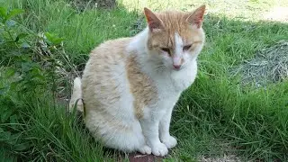 もうちょっと甘えたかっただけなのに