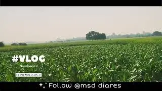 Village Vlog part -3 || গ্রামের ব্লগ ভিডিও @dReamwAlk @jattprabhjot