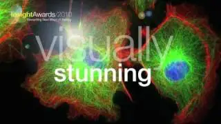 Andor Insight Awards- Scientific Imaging Competition