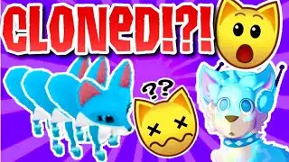 BEING CLONED IN Animal jam // GLITCH