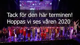 Bumbibjörnarna ht 2019