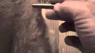 Amega Wand on Corky.flv