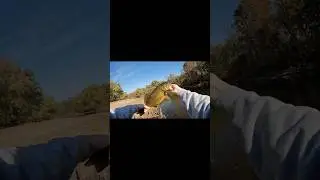 Nice smally #fishingclips #freshwaterfish #bassfishing #smallmouthbass #smally #smallmouth #fishing