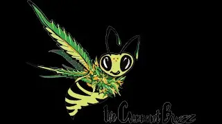 The Current Buzz Info Update