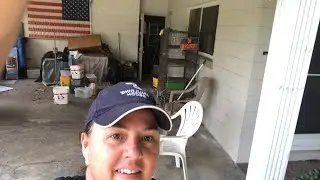 Cat hoarder house