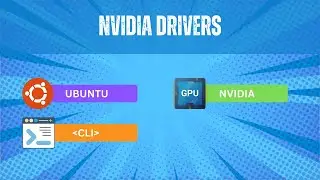 Как установить драйверы Nvidia в Ubuntu 24.04