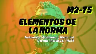 Elementos de la Norma: Endonorma, Perinorma y Abuso del Derecho (Resumen) | M2T5