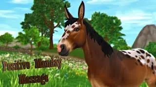 Positive Monday Message #362 ~ [SSO] Star Stable Online