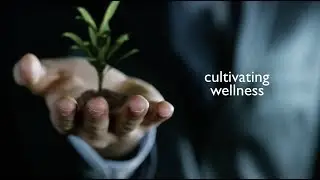 Cultivating Wellness speaking abstract in 60 seconds