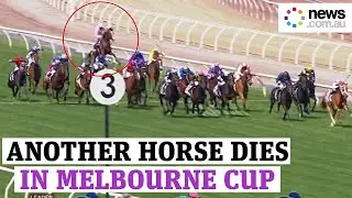 Melbourne Cup 2020 horse Anthony Van Dyck dies