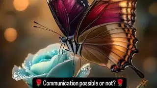 🌹Communication possible or not?🌹 #tarot #tarotreading #astrology #healing #twinflame #tamil #love 