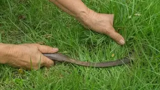 60 Year Old Man Handmade Making Sickle in pakistan Local Market || How To Manufacturing Sickle