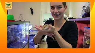 Explore the AI Living Lab  New Mexico's Unique Eco Zoo Experience