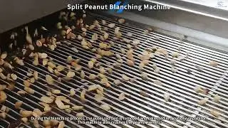 Split Peanut