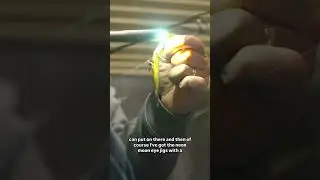 Ищете приманки для налима? Вы попали по адресу. Полный выпуск на нашей странице! #рыбалка #налим ...