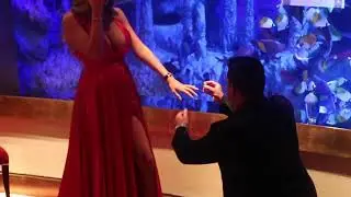 Million dollar Dubai Burj Al Arab engagement