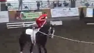 Backflip off a running horse.