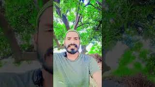 India vs UAE T20 Match #shotrs #fede  | Asia Cup 2025 1