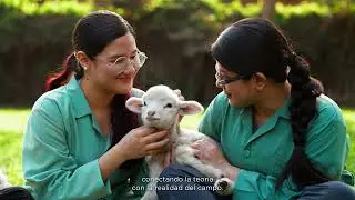 Descubre nuestra carrera de Medicina Veterinaria y Zootecnia