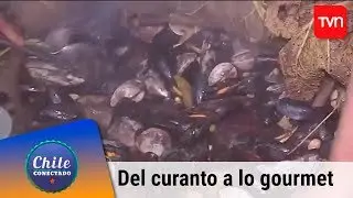 Del curanto a la cocina gourmet | Chile conectado | Buenos d&iacute;as a todos