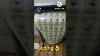 Clear sticker label     Printing and cutting   3