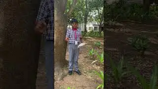 World Environmental Day 2025 | Plant and Save Tree | #kvs #kv  | #worldenvironmentday | #savetrees