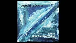 'Ananda: bliss' from 'How Can We Wake?' by Josephine Davies