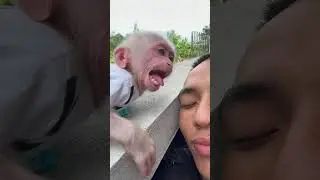 Bibi cry