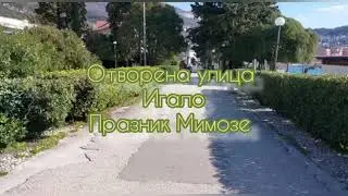 Празник Мимозе 2022. године 💛💚💛 ,,Отворена улица