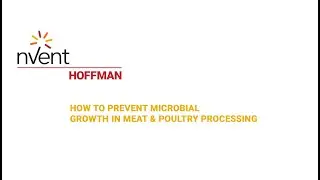 How to prevent microbial growth in meat & poultry processing | nVent HOFFMAN