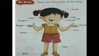 My body - General awareness - building blocks- Junior kg kids.