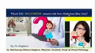 Which RBC INCLUSIONS  stained with New Methylene Blue Only?