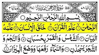 Surah Rehman| Surah Ar-Rahman with Arabic Text| EP 02| Best Quran Tilawat By Alaa Aqel HasbiAllahtv
