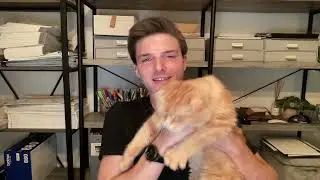 Cat Tales Club Intro