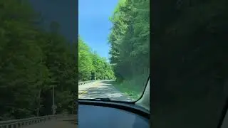 Drive from Johnsonburg Pa to Bendigo State Park (4 miles)..