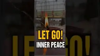 BUDDHA'S WISDOM: Let Go at the Right Time - Find Inner Peace! #shorts | Life-Changing Wisdom