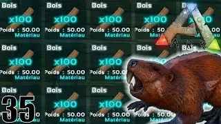 OBTENIR DU BOIS ILLIMITÉS ! | ARK: Survival Evolved ! #Ep35