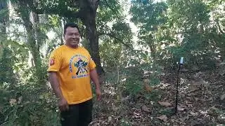 Combate campamento de la cruz contra el bracamonte