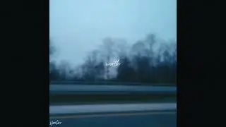 Spetro - Worth