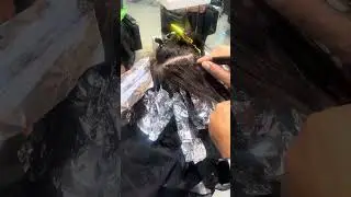 Highlights technique #layerup #shorthaircut #roundlayers #bobhaircut #hair