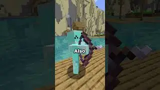 Minecraft Shields Need This Change | Shields+ Mod